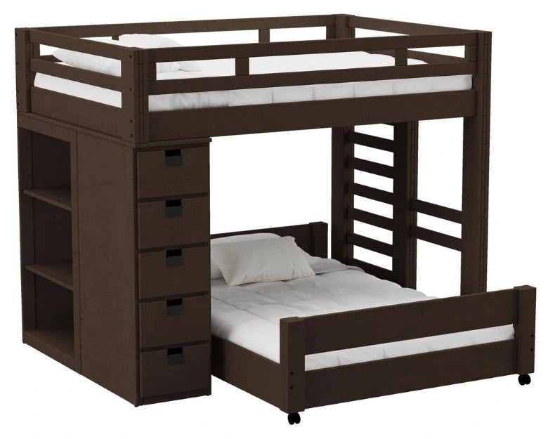 Elements International Cali Kids Twin Over Full Bookcase Loft Bed in Brown