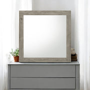Acme Furniture Mari Light Gray Mirror