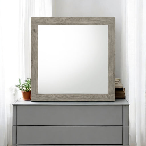 Acme Furniture Mari Light Gray Mirror