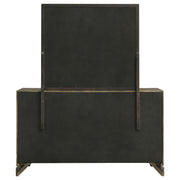 Coaster Furniture Gran Park Dark Cocoa Brown Dresser and Mirror