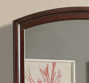 Glory Furniture Ashford Cappuccino Mirror