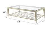 Acme Furniture Zaba Champagne Rectangle Coffee Table