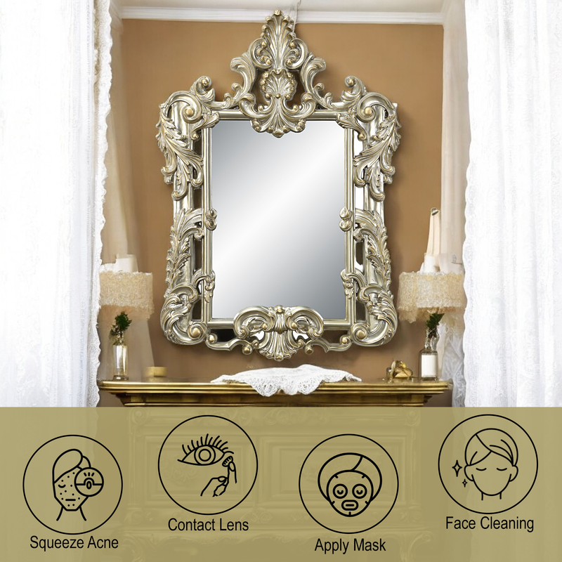 Acme Furniture Sorina Antique Gold Transitional Mirror