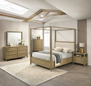 Crown Mark Sienna Antique Brown Mirror