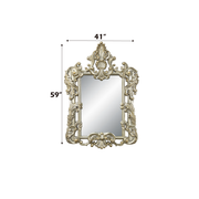 Acme Furniture Sorina Antique Gold Transitional Mirror