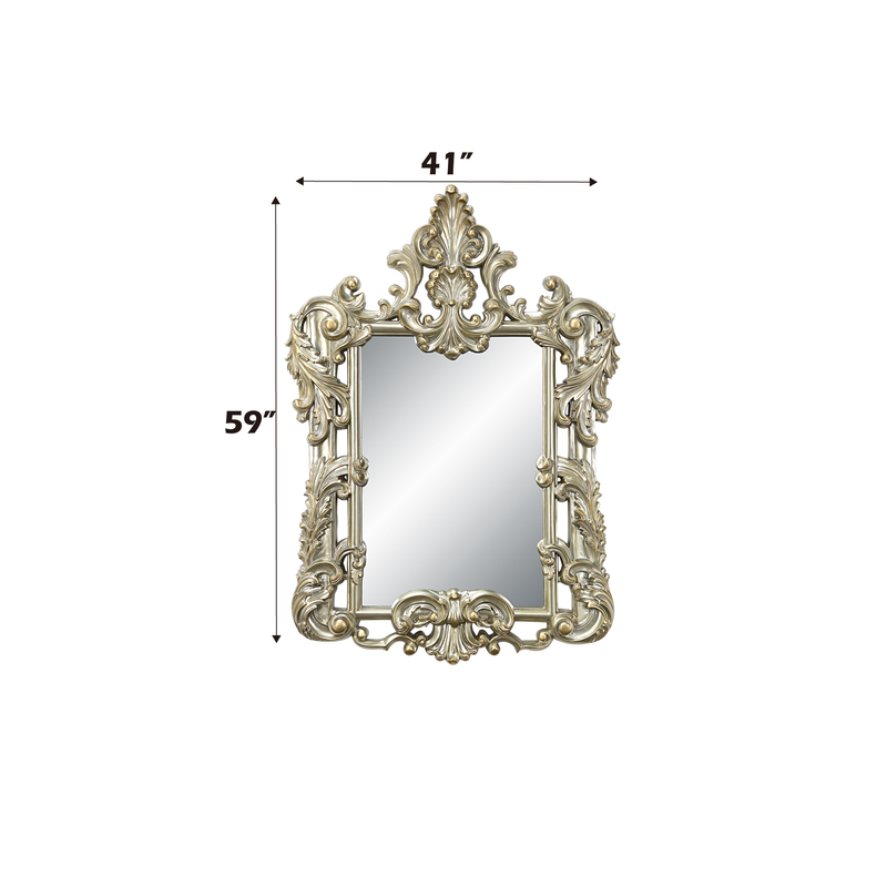 Acme Furniture Sorina Antique Gold Transitional Mirror
