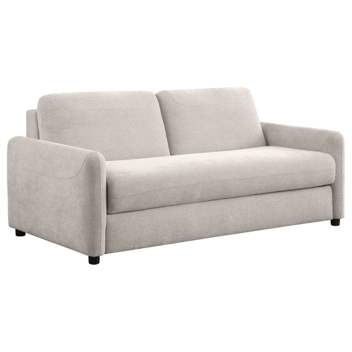 Coaster Furniture Rylie Beige Sofa Sleeper with Queen Mattress