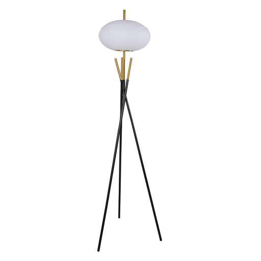 Crown Mark Black Gold Floor Lamp