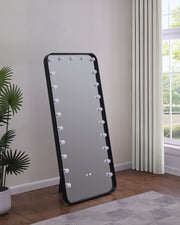 Coaster Furniture Canton Silver LED Standing Mirror with Speakers