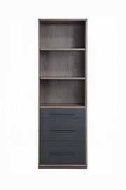 Acme Furniture Estevon Gray Oak Bookcase