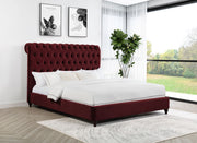 Coaster Furniture Devon Wine Red King Panel Bed
