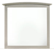 Glory Furniture Hammond Silver Champagne Mirror