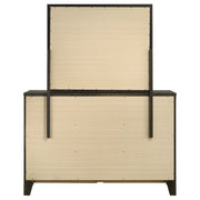 Coaster Furniture Wilkes Dark Cocoa Brown Dresser and Mirror