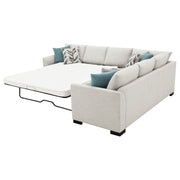 Coaster Furniture Ashford Greige Beige Sleeper Sectional