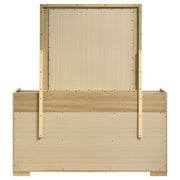 Coaster Furniture Hyland Natural Brown White Dresser with Mirror