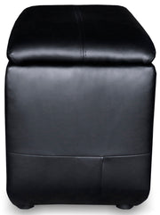 Coaster Furniture Cyrus Black Theater Sofa