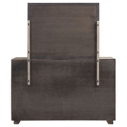 Coaster Furniture Kenora Barley Brown Beige Dresser and Mirror