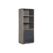Acme Furniture Estevon Gray Oak Bookcase