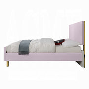 Acme Furniture Gaines Pink High Gloss 2pc Full Bedroom Set