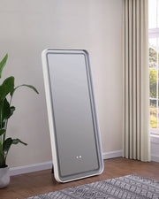 Coaster Furniture Glendora Silver LED Standing Mirror