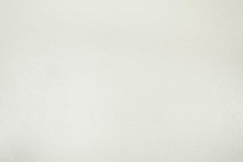 Acme Furniture Adara Pearl Antique White Loveseat with 5 Pillows