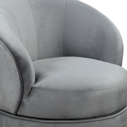 Steve Silver Sophia Gray Velvet Accent Chair
