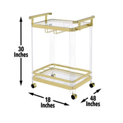 Steve Silver Aerin Gold Chrome Server Cart