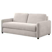 Coaster Furniture Rylie Beige Sofa Sleeper with Queen Mattress