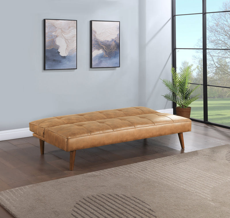 Coaster Furniture Jenson Dark Coffee Sofa Bed