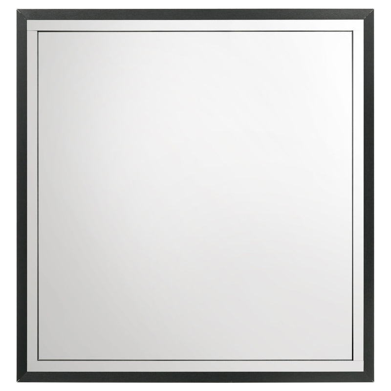 Coaster Furniture Lucia Black Mirror