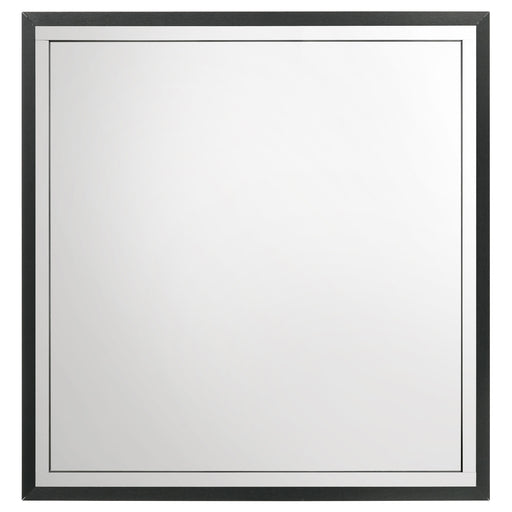 Coaster Furniture Lucia Black Mirror