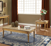 Acme Furniture Daesha Antique Gold 3pc Coffee Table Set