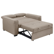 Coaster Furniture Edith Grey Convertible Sleeper Sofa Bed