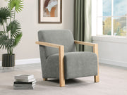 Coaster Furniture Diego Grey Accent Arm Chair