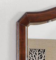 Glory Furniture Triton Cappuccino Mirror