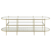 Acme Furniture Zaba Champagne TV Stand