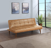 Coaster Furniture Jenson Dark Coffee Sofa Bed