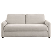 Coaster Furniture Rylie Beige Sofa Sleeper with Queen Mattress