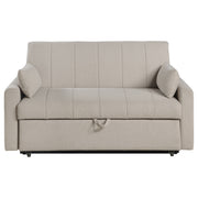 Coaster Furniture Portland Brown Sleeper Sofa Bed