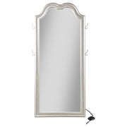 Coaster Furniture Evangeline Silver Oak Full Length Led Floor Mirror