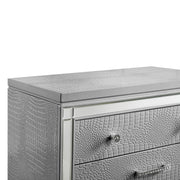 New Classic Furniture Valentino Silver Wood Chest