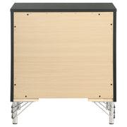 Coaster Furniture Lucia Black 2 Drawer Nightstand