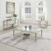 Acme Furniture Zaba Champagne Rectangle Coffee Table