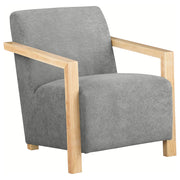 Coaster Furniture Diego Grey Accent Arm Chair