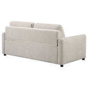 Coaster Furniture Rylie Beige Sofa Sleeper with Queen Mattress