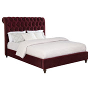 Coaster Furniture Devon Wine Red Queen Panel Bed