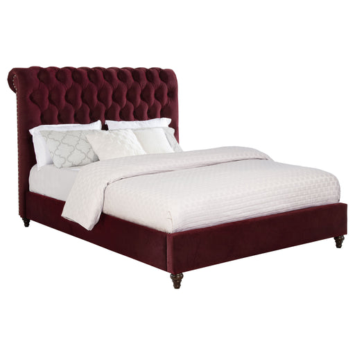 Coaster Furniture Devon Wine Red Queen Panel Bed