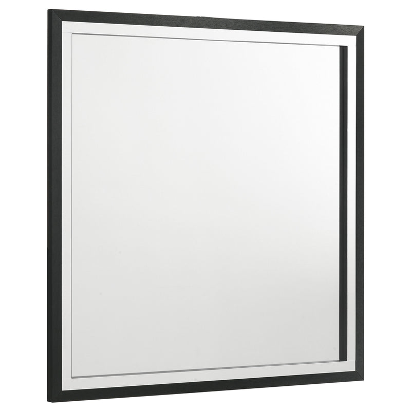 Coaster Furniture Lucia Black Mirror