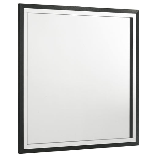 Coaster Furniture Lucia Black Mirror