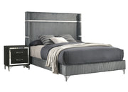 Coaster Furniture Lucia Grey Black 2pc Bedroom Set with Queen Bed